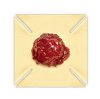 Spandauer utstickare, 7x7 cm