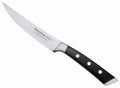 Stekkniv från Tescoma, 13 cm.